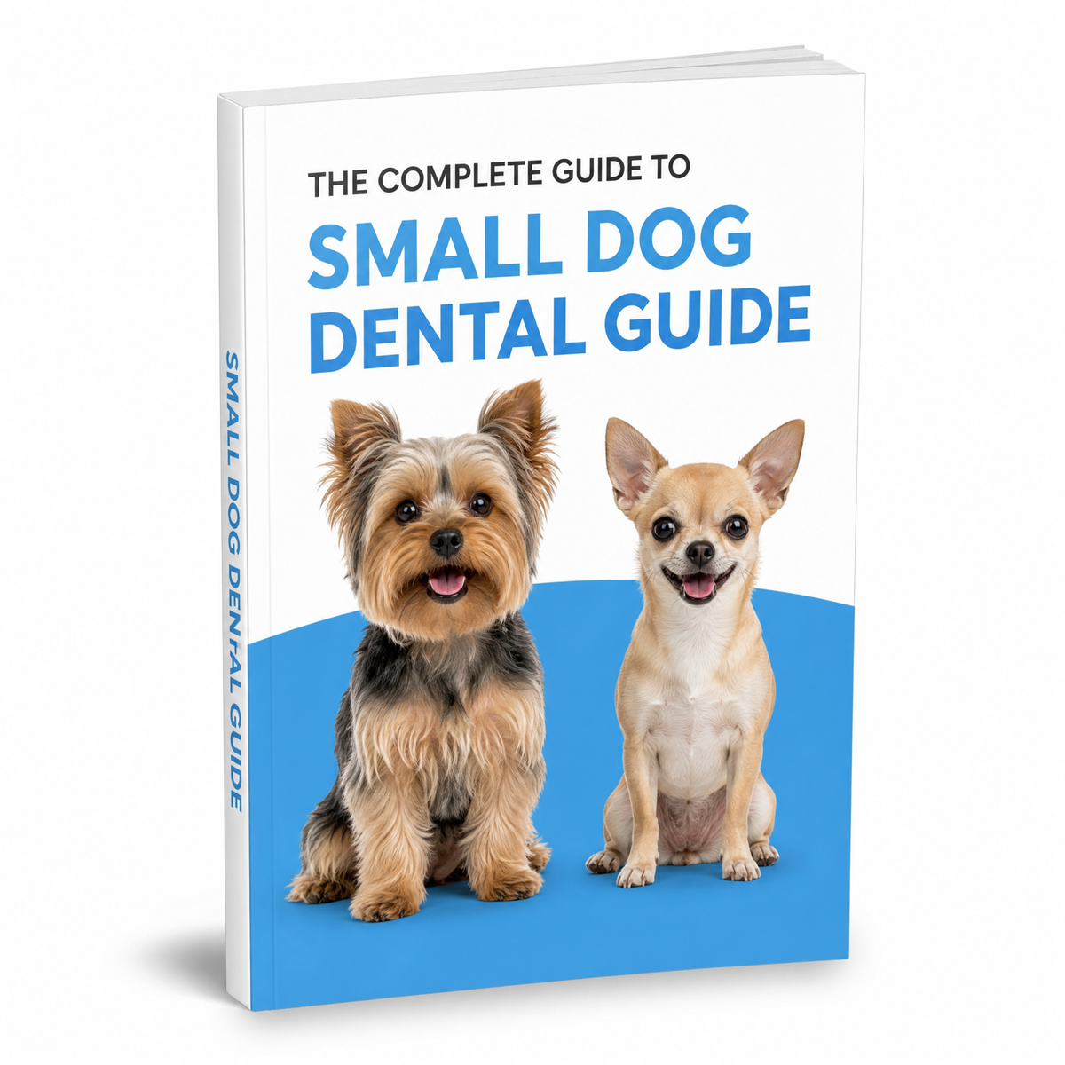 Small Dog Dental Guide