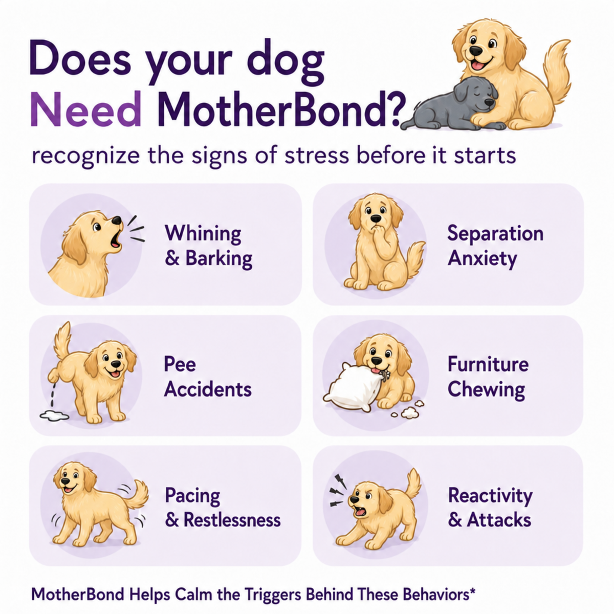 MotherBond Collar