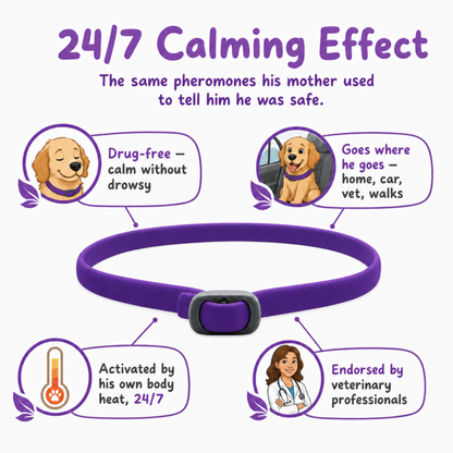 MotherBond Collar