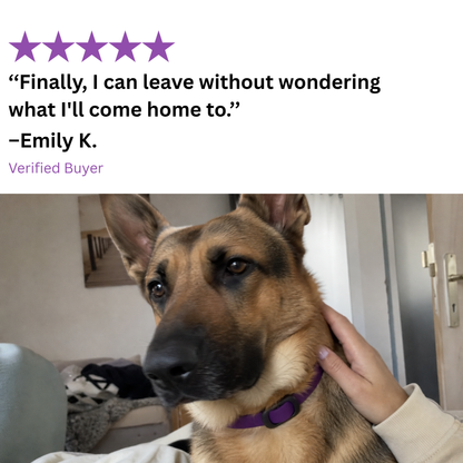MotherBond Collar
