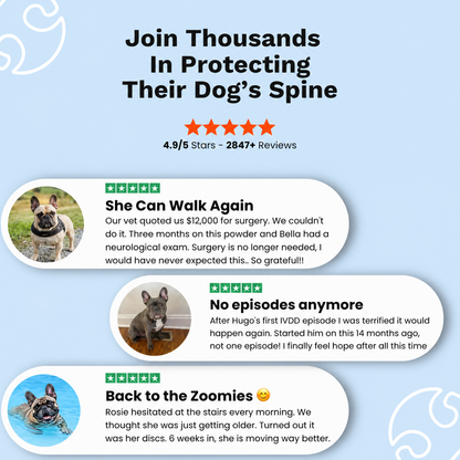 PetFormulary - DiscGuard Powder