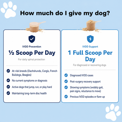 PetFormulary - DiscGuard Powder