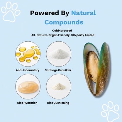 PetFormulary - DiscGuard Powder