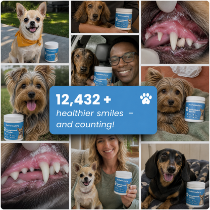 PetFormulary - DentalGuard