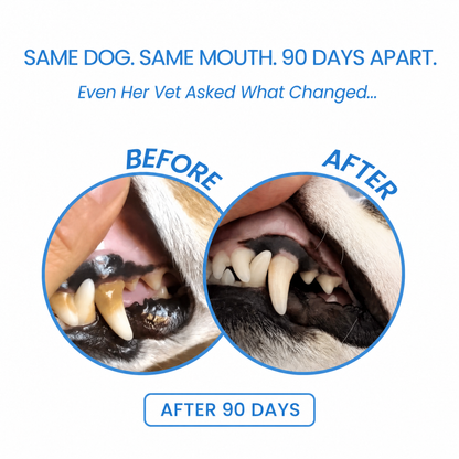 PetFormulary - DentalGuard